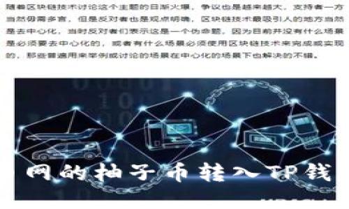 如何将火币网的柚子币转入TP钱包详细指南