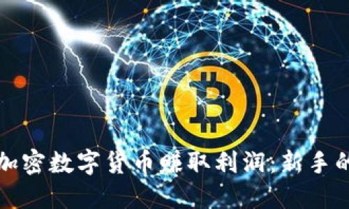 如何通过加密数字货币赚取利润：新手的全面指南