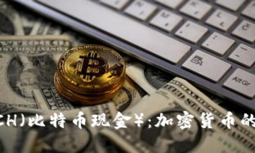 深入了解BCH（比特币现金）：加密货币的未来与应用
