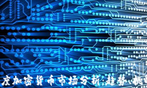 
2023年一季度加密货币市场分析：趋势、挑战与未来展望