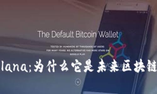 全面解析Solana：为什么它是未来区块链的关键玩家